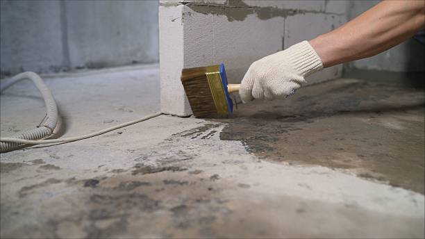 SJ Waterproofing Pros Waterproofing coverage map for Somerset Center, MI and surrounding area